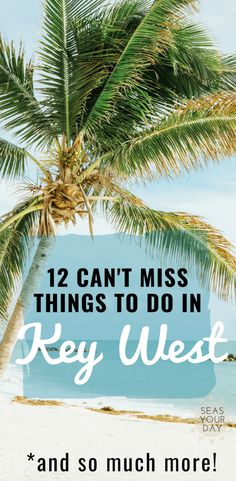 a palm tree with the words 12 can't miss things to do in key west and so much more