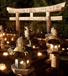 lanterns lit up in the shape of animals and birds on display at a japanese garden