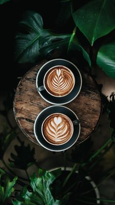 two cups of coffee sitting on top of a wooden table next to green plants and leaves