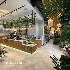 the inside of a restaurant with lots of plants