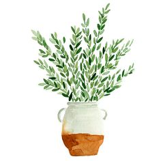 a watercolor painting of a potted plant with green leaves in it's top