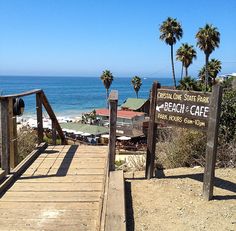 a wooden walkway leading to the beach with palm trees