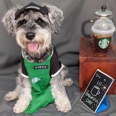 a small dog wearing an apron next to a cup of coffee and a sign that says starbucks