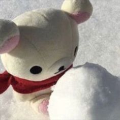 a white teddy bear in the snow wearing a red scarf