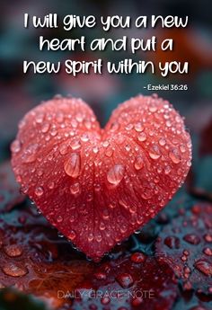 I will give you a new heart and put a new spirit within you - Ezekiel 36:26 (NKJV) Jesus Smiling, Spiritual Sayings, Bible Quotes Images, Bible Promises, Joshua 1, Bible Study Verses, New Heart, Inspirational Bible Verses, Quotes Images