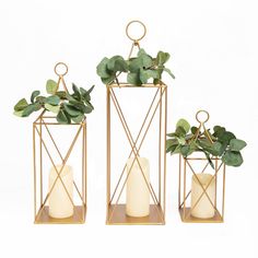 three gold geometric candle holders with greenery in them, one holding a white candle and the other holding a green plant