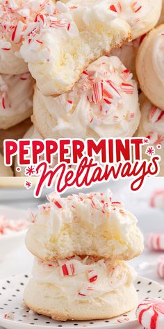 Peppermint Meltaways Chelsweets Christmas Cookies, Homemade Peppermint Marshmallows, Peppermint No Bake Cookies, Gingerbread Marshmallow Cookies, Forgotten Christmas Cookies, Christmas Cookies Small Batch, Easy Yummy Christmas Desserts, Andes Peppermint Recipes, Melt In Your Mouth Peanut Butter Chocolate Chip Snowball Cookies