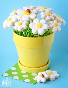 a yellow pot filled with white flowers on top of a blue table next to polka dots