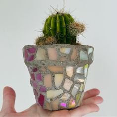 a hand holding a small cactus in a mosaic pot