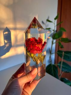 a person holding up a clear vase with red flowers in it on a table next to a potted plant