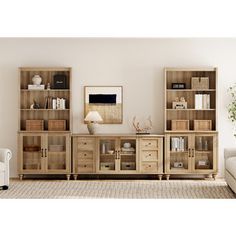 a living room scene with focus on the bookcases and the couch in the foreground