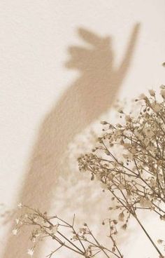 the shadow of a person's hand on a wall next to a flower vase