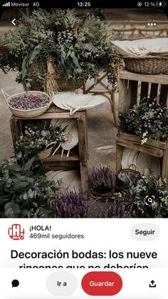 two wooden chairs sitting next to each other on top of a cement floor covered in plants