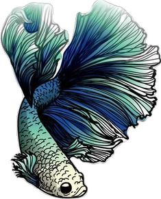 a drawing of a blue and white fish