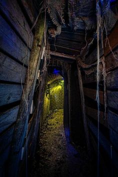 an old wooden tunnel with vines hanging from it's ceiling and the light at the end