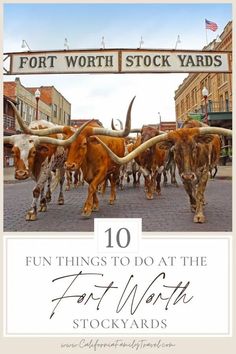 the front cover of fort worth stockyards'top 10 things to do with kids