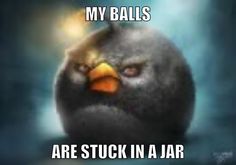 an angry bird with the caption'my balls are stuck in a jar '