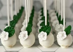 cake pops with green leaves and white flowers on them are lined up in a row