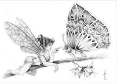 a pencil drawing of a fairy sitting on a branch next to a butterfly