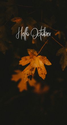 a leaf with the words hello october on it