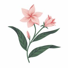 a pink flower with green leaves on a white background is featured in this illustration by person