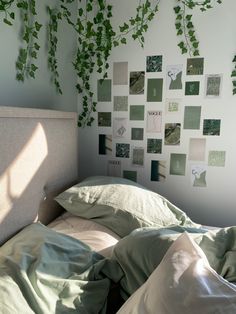 an unmade bed with sheets and pillows in front of a green plant on the wall