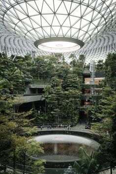 the inside of a building with lots of trees