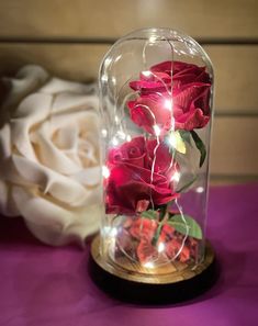 red roses are in a glass dome with fairy lights on the base and behind it is a white rose