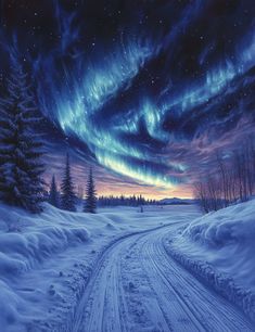 an image of a snowy road with the aurora lights in the sky over it and trees