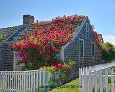 a house covered in pink flowers next to a white fence