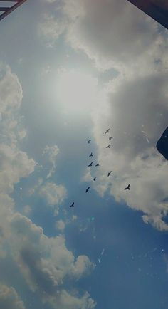 a flock of birds flying in the sky with clouds and sun shining through it's reflection