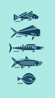 four different types of fish are shown in blue and black on a light blue background