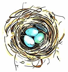 a bird's nest with three blue eggs in it on top of a white background