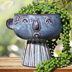 a ceramic planter with green plants growing out of it's face on a wooden table