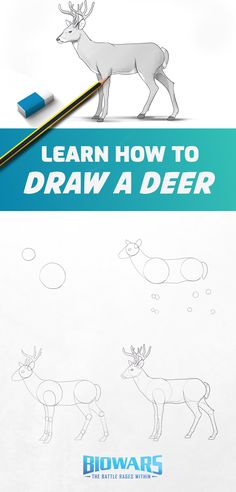 A collage of five images depicting the process of deer drawing. Deer Drawing Easy Step By Step, How To Draw A Deer Step By Step, Deer Sketch Simple, Deer Drawing Reference, How To Draw A Deer, Easy Deer Drawing, Deer Tutorial, How To Draw Deer, Deer Drawing Easy