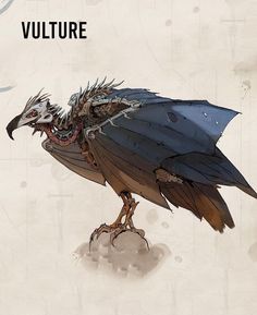 an image of a bird that is standing on one leg and the words vulture above it