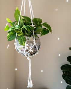 a potted plant hanging from a string with disco ball decorations on the top and bottom