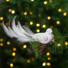 a white bird sitting on top of a pine cone next to a christmas tree with lights in the background