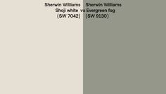 the cover of sheryl williams's album, sheryl whit evergreen fog