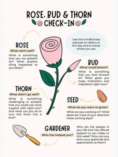 Rose Bud Thorn, Mental Health Activities, Mental Health Therapy, Mindfulness Exercises, Therapy Counseling, Counseling Resources, Therapy Worksheets, Group Therapy, Therapy Tools