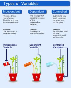 three types of variable and non - independent varieties of vegetables info graphic by the science museum