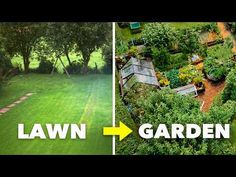 an aerial view of a garden and lawn with trees in the background, which shows how to