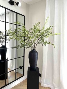 a black vase sitting on top of a wooden table next to a mirror and plant