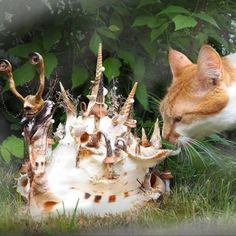 an orange and white cat sniffing a sculpture in the grass with other cats on it