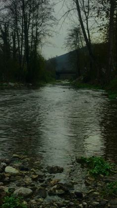 a river with rocks and trees in the background