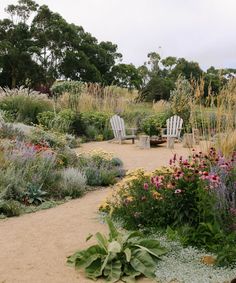 a garden filled with lots of different types of flowers