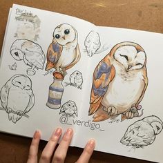 an open book with drawings of owls and other birds on the pages, which are colored in