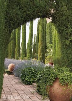 an outdoor garden with lots of green trees and plants in the center, surrounded by brick walkway