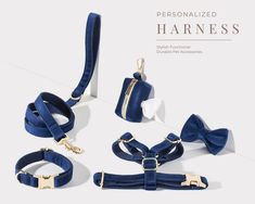 three pieces of blue velvet dog leash and collar with matching bow tie, set on white background