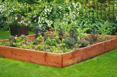 a garden filled with lots of different types of flowers and plants growing in the grass